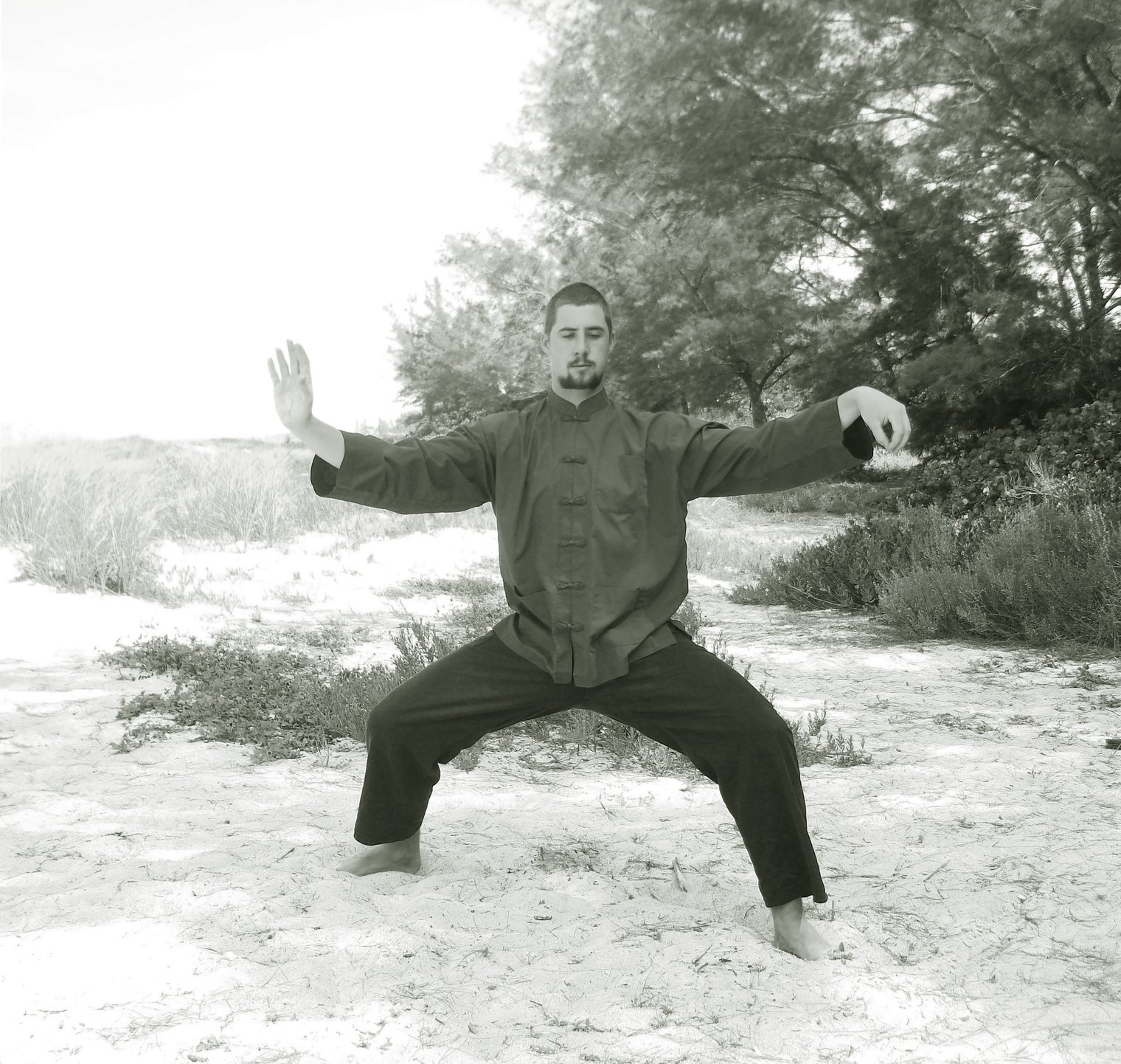 The Principles and Forms of Tai Chi: An In-Depth Guide - New Life