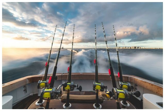 Best Courier For Fishing Rods