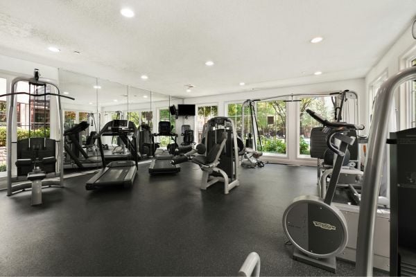 Gym Equipment Collection & Delivery UK | What You Need to Know