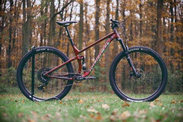 Finding a Bike Courier Near Me (Local vs National Options)